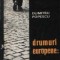 Drumuri europene...