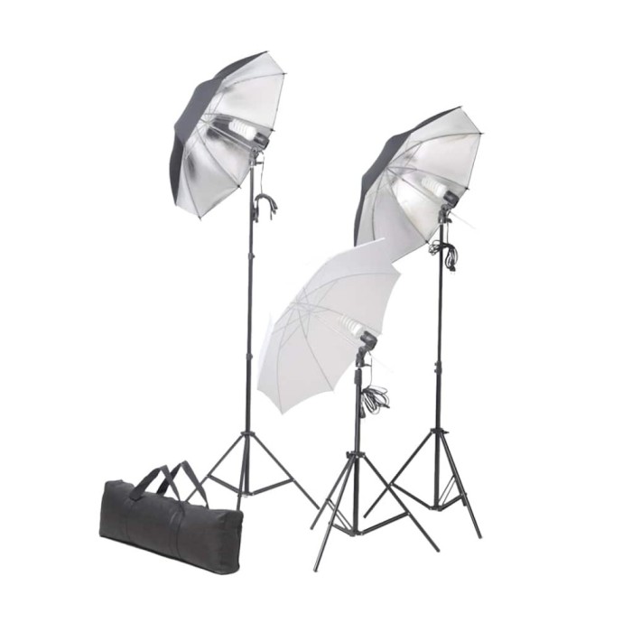 Set lumini studio: 24 wati cu trepiede si umbrele