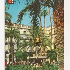 FA9 - Carte Postala- SPANIA - Barcelona, Plaza Real, necirculata