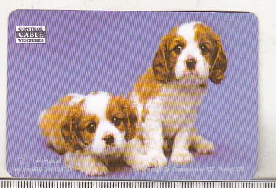 bnk cld Calendar de buzunar 1999 - CCV PLoiesti foto