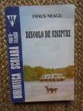 DINCOLO DE NISIPURI de FANUS NEAGU