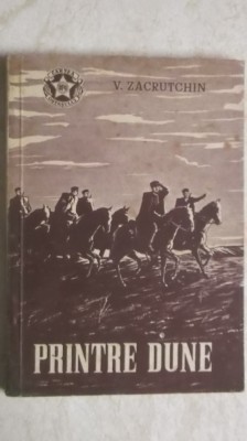 V. Zacrutchin - Printre dune foto