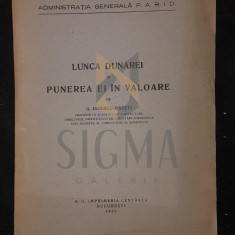 G. IONESCU-SISESTI, LUNCA DUNAREI SI PUNEREA EI IN VALOARE, BUCURESTI, 1933