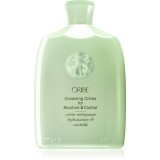 Oribe Moisture &amp; Control sampon crema pentru toate tipurile de păr 250 ml