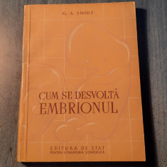 Cum se dezvolta embrionul A. Smidt