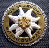 I.741 INSIGNA TURISM MONTAN &Ouml;sterreichischer Alpenverein &Ouml;AV FLOARE DE COLT