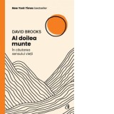 Al doilea munte. In cautarea sensului vietii - David Brooks, Alina Iacob