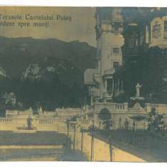 5391 - SINAIA, Peles Castle, Romania - old postcard - unused