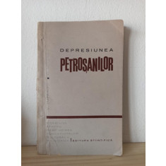 Victor Tufescu, Const. Mocanu - Depresiunea Petrosanilor (Valea Jiului)