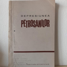 Victor Tufescu, Const. Mocanu - Depresiunea Petrosanilor (Valea Jiului)