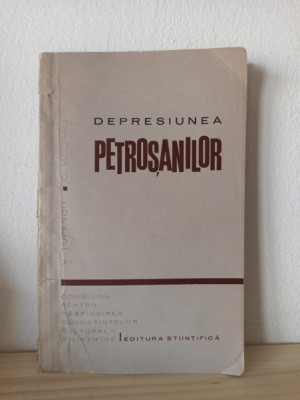 Victor Tufescu, Const. Mocanu - Depresiunea Petrosanilor (Valea Jiului) foto