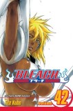 Bleach, Volume 42
