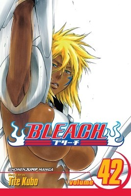 Bleach, Volume 42 foto