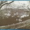 505 - Borsec - Vedere generala / carte postala necirculata interbelica
