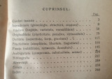 Gramatica vie a limbei engleze (Dragoș Protopopescu, 1947)