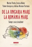 De la Ungaria Mare la Romania Mare. Sange, rasa si natiune - Marius Turda