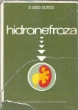 Hidronefroza - Gh. Olanescu, Carte Medicina, Editura Academiei 1973, Coperta Cartonata