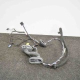 Cablaj ușă dreapta spate TESLA MODEL 3 2018 OEM: 1067966-90-D 10829657