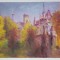SIGHISOARA -NESEMNAT
