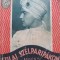 Szilaj szelparipakon - Elswyth Thane