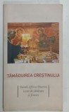 TAMADUIREA CRESTINULUI , TAINELE SFINTEI BISERICI , IZVOR DE SANATATE SI FERICIRE , 2013 , PREZINTA INSEMNARI PE PAGINA DE GARDA *
