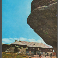 CPI B14813 - CARTE POSTALA - MUNTII BUCEGI. CABANA "BABELE"