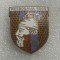 Insigna Petrodava 2000