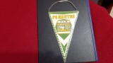 fanion FC Nantes