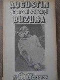 DRUMUL CENUSII-AUGUSTIN BUZURA-100627