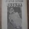 DRUMUL CENUSII-AUGUSTIN BUZURA-100625