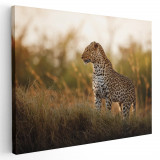 Tablou leopard in natura Tablou canvas pe panza CU RAMA 30x40 cm