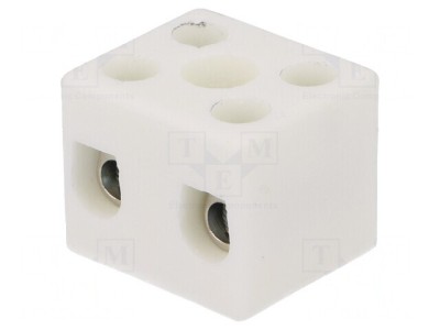 Regletă de Conexiuni cu Șurub 10mm2 450V 57A foto