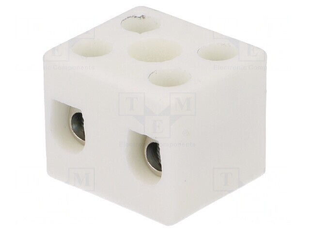 Regletă de Conexiuni cu Șurub 10mm2 450V 57A