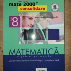 Matematica clasa a 8-a (partea II) - Radu Gologan, Anton Negrila