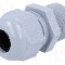 Presetupa poliamida, NPT1/2&quot;, IP68, HELUTOP HT-NPT, HELUKABEL - HT 1/2&rdquo; RAL7001 BSK NPT