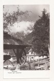 RF103 - Carte Postala - Busteni. vedere spre Caraiman, necirculata