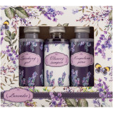 Bohemia Gifts &amp; Cosmetics Lavender set cadou (cu lavanda)