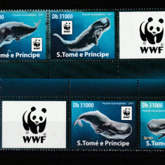 S.Tome e Principe 2017-Fauna,WWF,Casalot,serie 4 val.cu 2 vignete,Mi.7408-7411