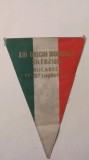 Fanion &quot;Jocurile Mondiale Sportive ale Surzilor Editia XIII Bucuresti 1977&quot; RAR