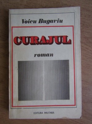 Voicu Bugariu - Curajul foto