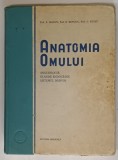 ANATOMIA OMULUI, ANGEIOLOGIE, GLANDE ENDOCRINE, SISTEMUL NERVOS de Z. IAGNOV, E. REPCIUC, 1954