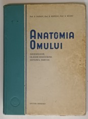 ANATOMIA OMULUI, ANGEIOLOGIE, GLANDE ENDOCRINE, SISTEMUL NERVOS de Z. IAGNOV, E. REPCIUC, 1954