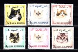 A12 S2 8 - Timbre foarte vechi - Ras Al Khaima - pisici, Fauna, Stampilat