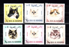 A12 S2 8 - Timbre foarte vechi - Ras Al Khaima - pisici