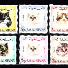 M2 TS1 8 - Timbre foarte vechi - Ras Al Khaima - pisici