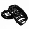 Set Grile Radiator Nari Duble Bmw Seria 3 E91 2008-2012 LCI M Design Negru Lucios FGBME90DPB, General