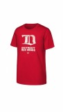 Detroit Red Wings tricou de bărbați Vintage red - L