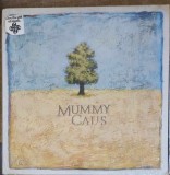 Vinil LP Mummy Calls - Mummy Calls (Geffen Records, 1986) Folk/Pop/Rock, 33 RPM, 30cm - Stare Buna