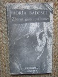Horia Badescu - Zborul gastei salbatice