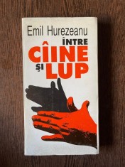 Emil Hurezeanu Intre Caine si Lup